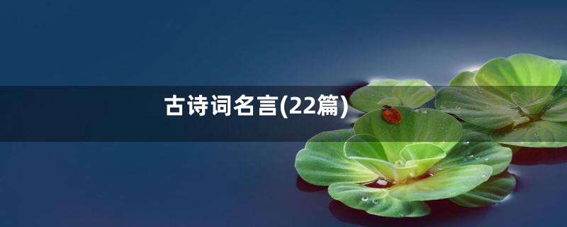 古诗词名言(22篇)