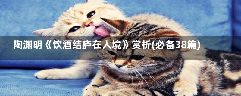 陶渊明《饮酒结庐在人境》赏析(必备38篇)
