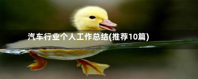 汽车行业个人工作总结(推荐10篇)