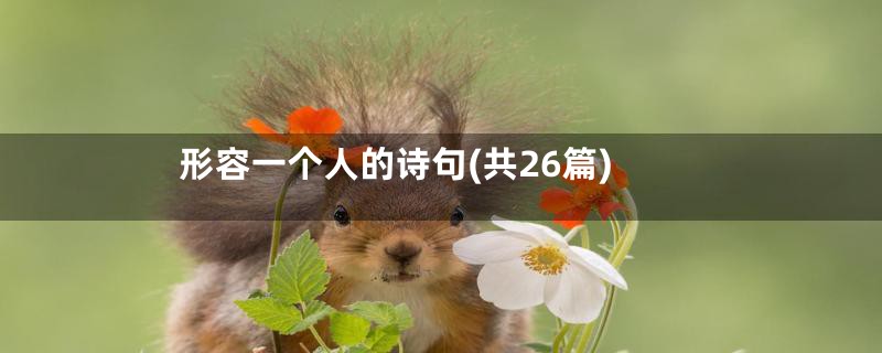 形容一个人的诗句(共26篇)