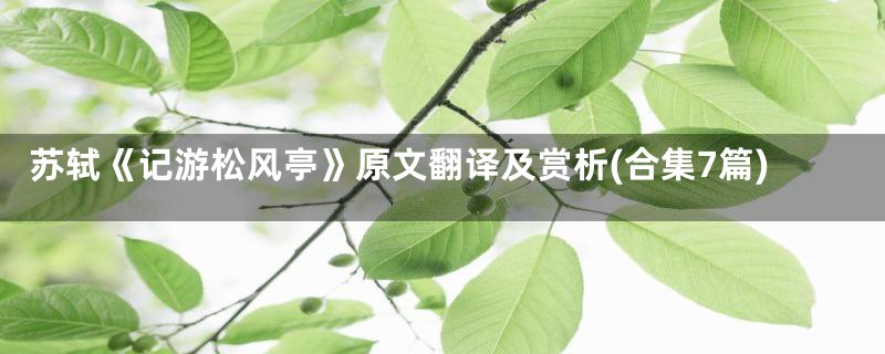 苏轼《记游松风亭》原文翻译及赏析(合集7篇)