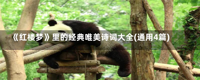 《红楼梦》里的经典唯美诗词大全(通用4篇)