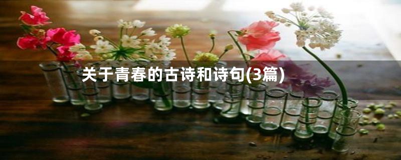 关于青春的古诗和诗句(3篇)