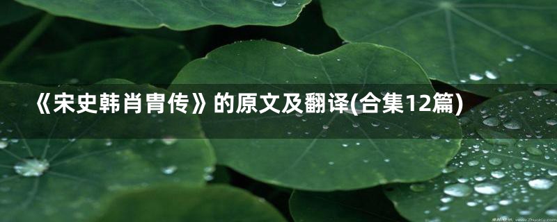《宋史韩肖胄传》的原文及翻译(合集12篇)