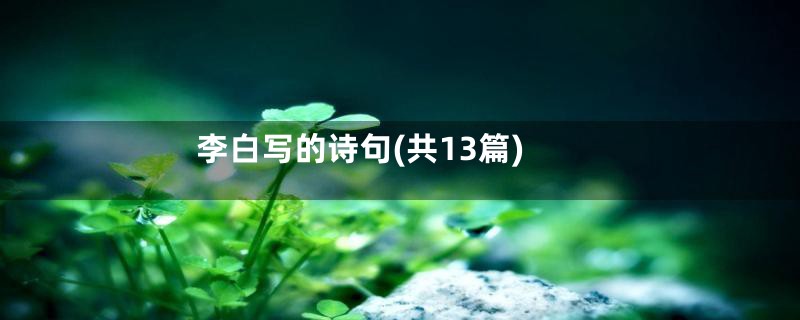 李白写的诗句(共13篇)
