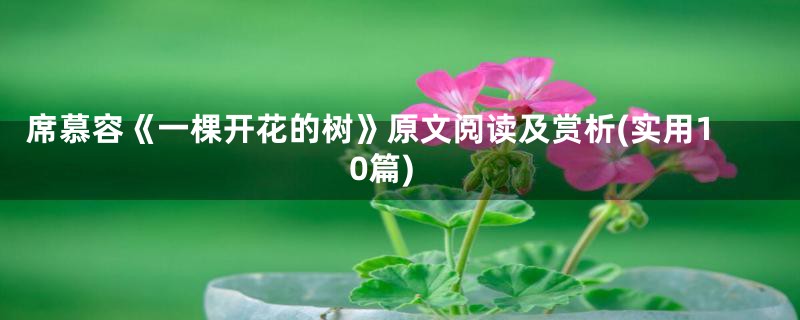 席慕容《一棵开花的树》原文阅读及赏析(实用10篇)