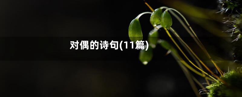 对偶的诗句(11篇)