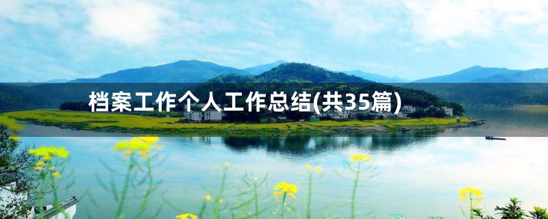 档案工作个人工作总结(共35篇)