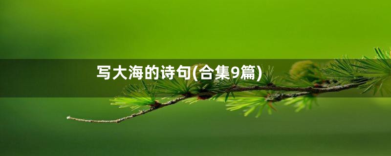 写大海的诗句(合集9篇)
