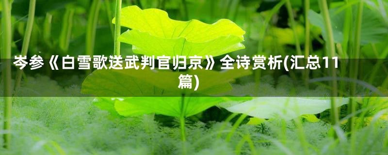 岑参《白雪歌送武判官归京》全诗赏析(汇总11篇)