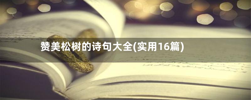 赞美松树的诗句大全(实用16篇)