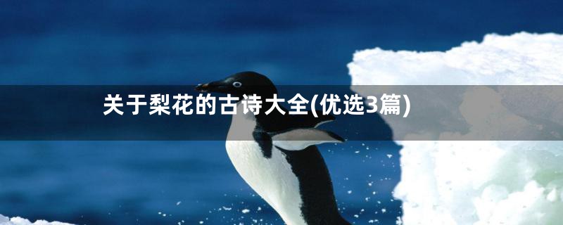 关于梨花的古诗大全(优选3篇)