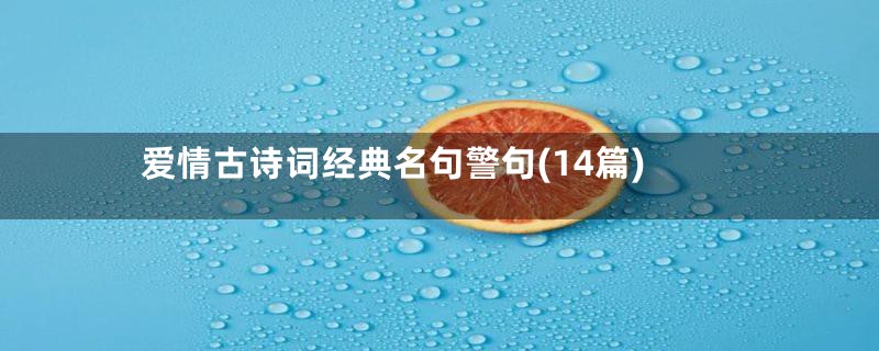 爱情古诗词经典名句警句(14篇)