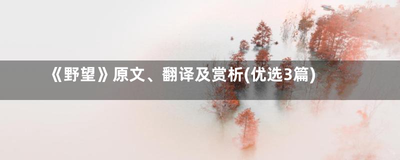 《野望》原文、翻译及赏析(优选3篇)