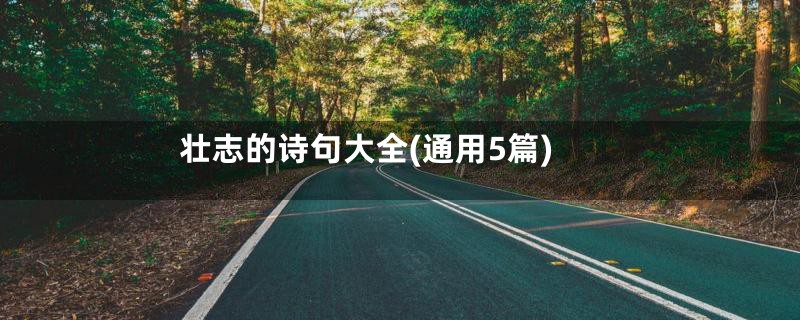 壮志的诗句大全(通用5篇)