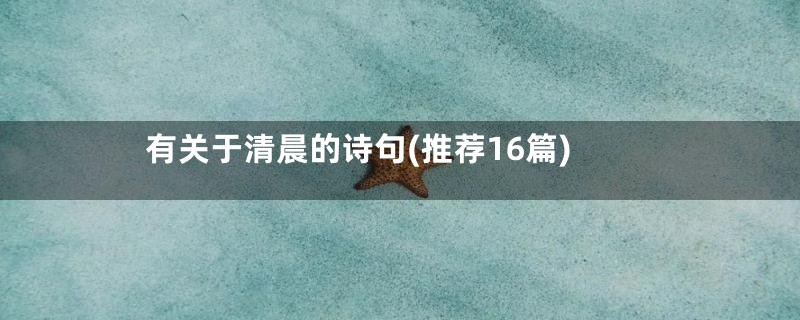 有关于清晨的诗句(推荐16篇)