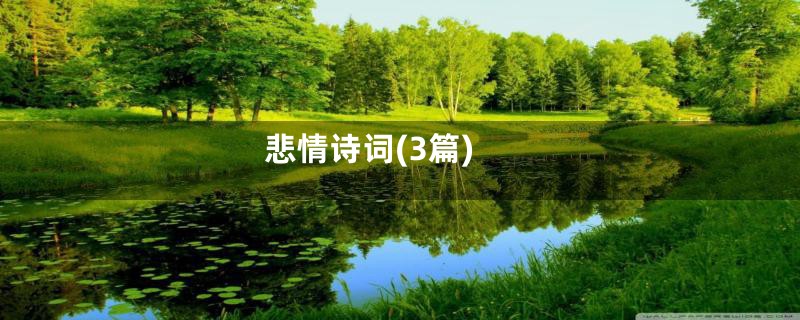 悲情诗词(3篇)