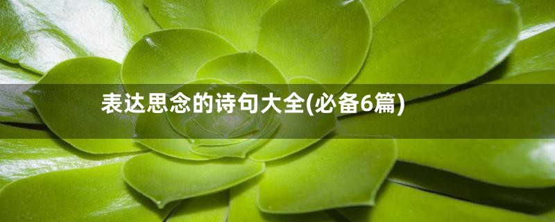表达思念的诗句大全(必备6篇)