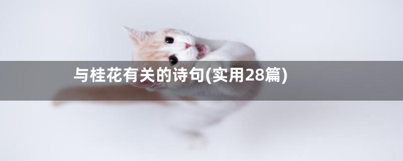 与桂花有关的诗句(实用28篇)