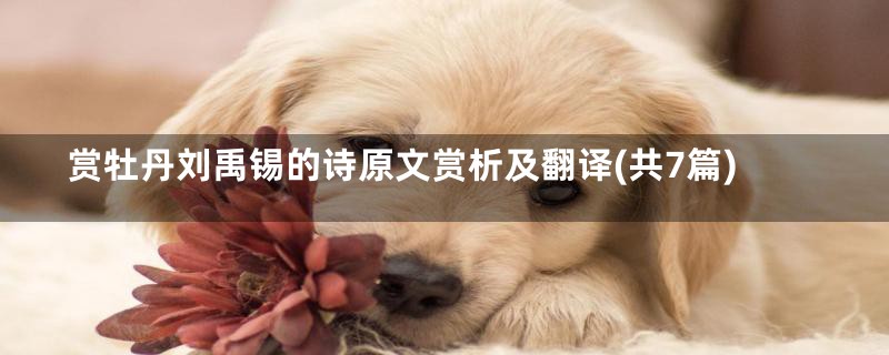 赏牡丹刘禹锡的诗原文赏析及翻译(共7篇)