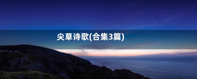 尖草诗歌(合集3篇)