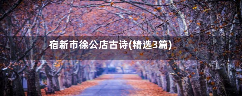 宿新市徐公店古诗(精选3篇)