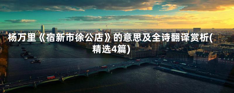 杨万里《宿新市徐公店》的意思及全诗翻译赏析(精选4篇)