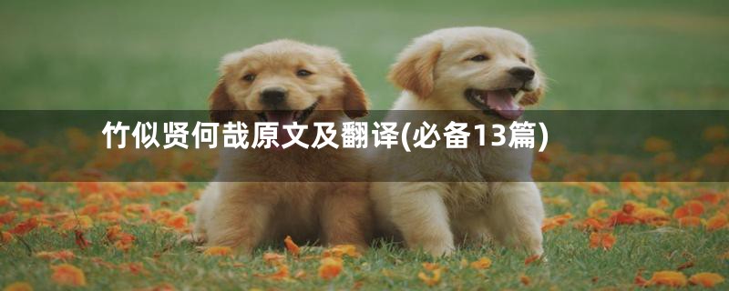 竹似贤何哉原文及翻译(必备13篇)