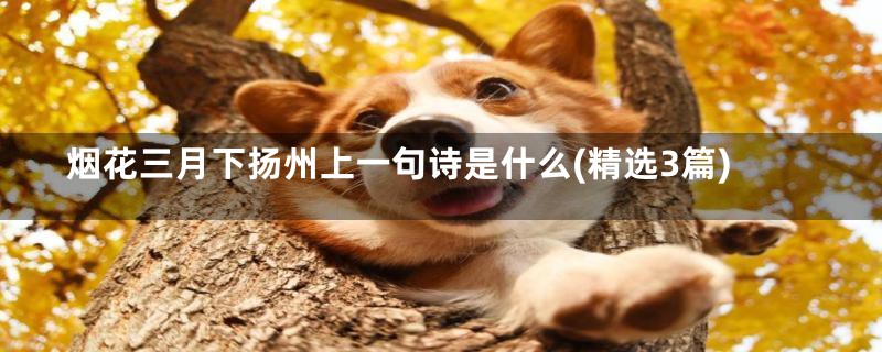 烟花三月下扬州上一句诗是什么(精选3篇)