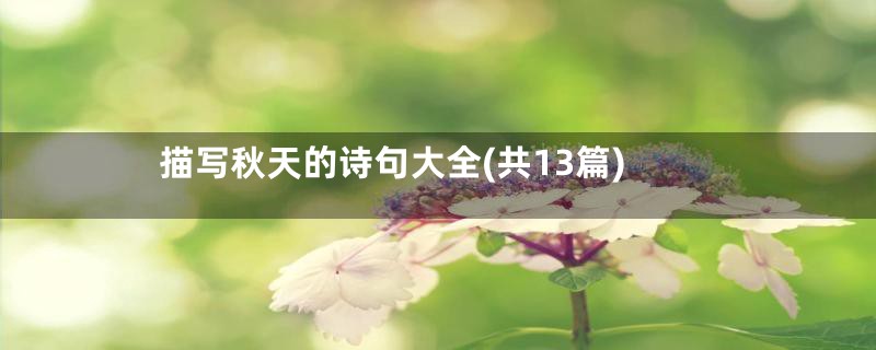 描写秋天的诗句大全(共13篇)