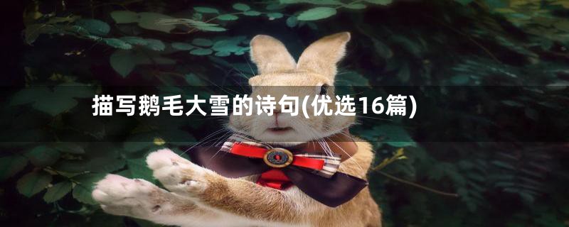 描写鹅毛大雪的诗句(优选16篇)