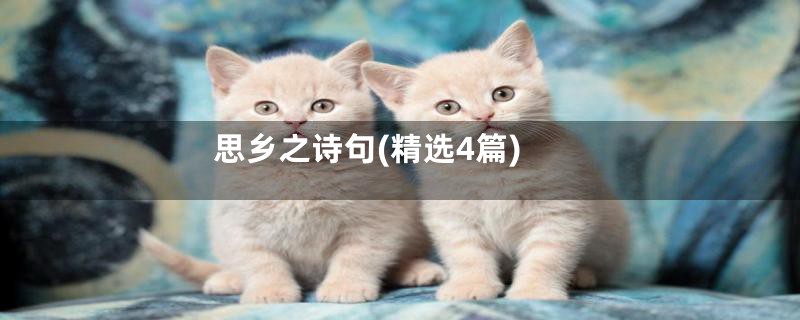 思乡之诗句(精选4篇)