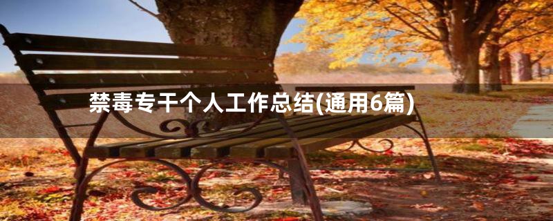 禁毒专干个人工作总结(通用6篇)
