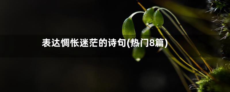 表达惆怅迷茫的诗句(热门8篇)
