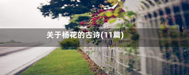 关于杨花的古诗(11篇)