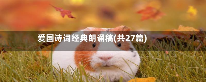 爱国诗词经典朗诵稿(共27篇)