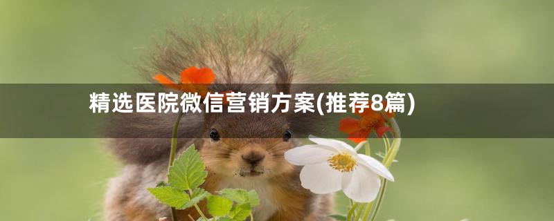 精选医院微信营销方案(推荐8篇)