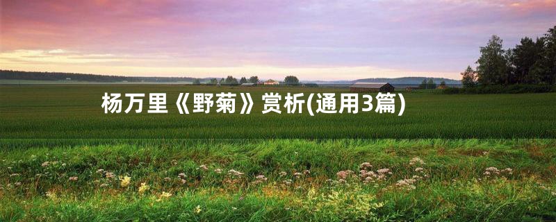 杨万里《野菊》赏析(通用3篇)