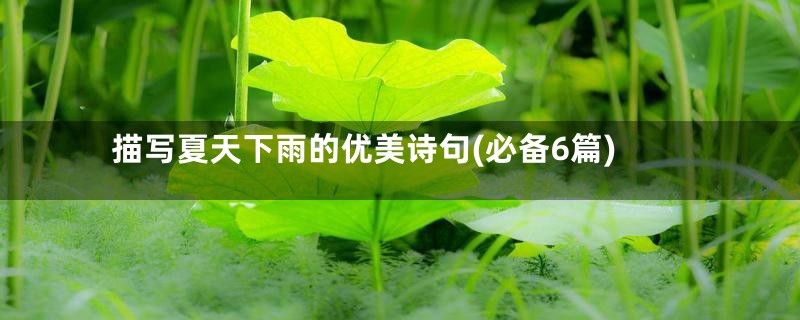 描写夏天下雨的优美诗句(必备6篇)