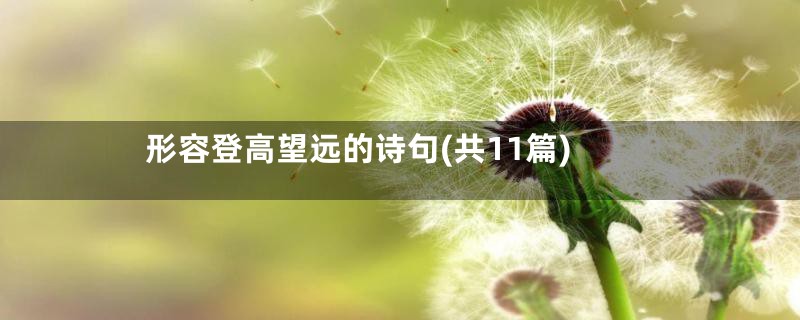 形容登高望远的诗句(共11篇)