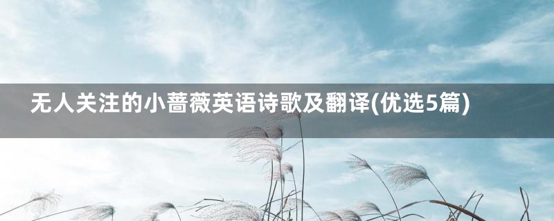 无人关注的小蔷薇英语诗歌及翻译(优选5篇)