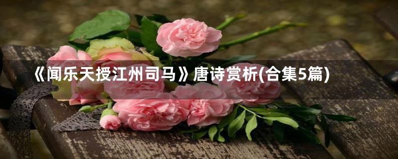 《闻乐天授江州司马》唐诗赏析(合集5篇)