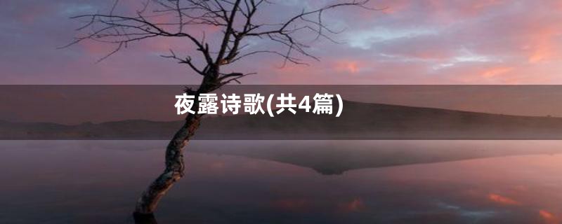 夜露诗歌(共4篇)