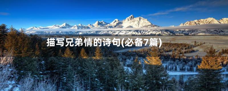 描写兄弟情的诗句(必备7篇)
