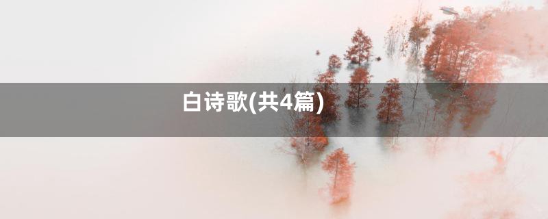 白诗歌(共4篇)
