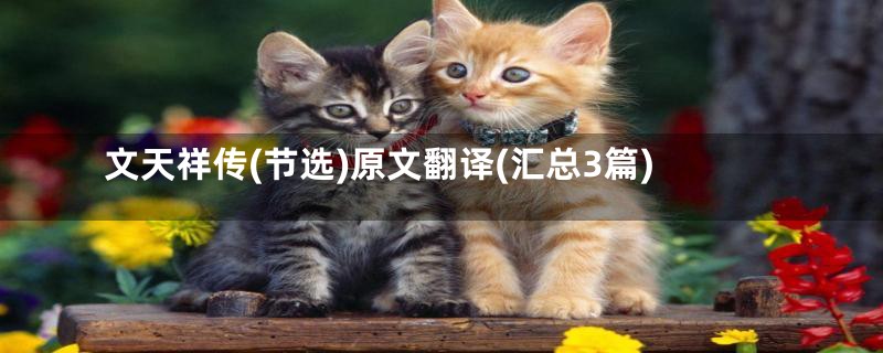 文天祥传(节选)原文翻译(汇总3篇)