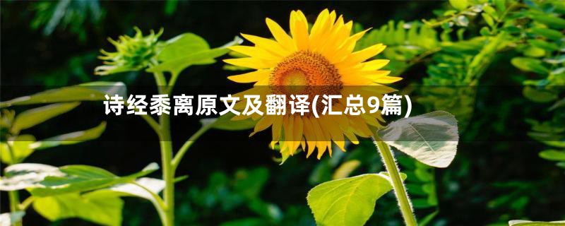 诗经黍离原文及翻译(汇总9篇)