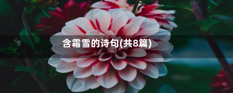 含霜雪的诗句(共8篇)
