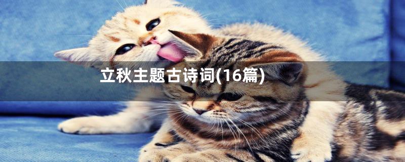 立秋主题古诗词(16篇)