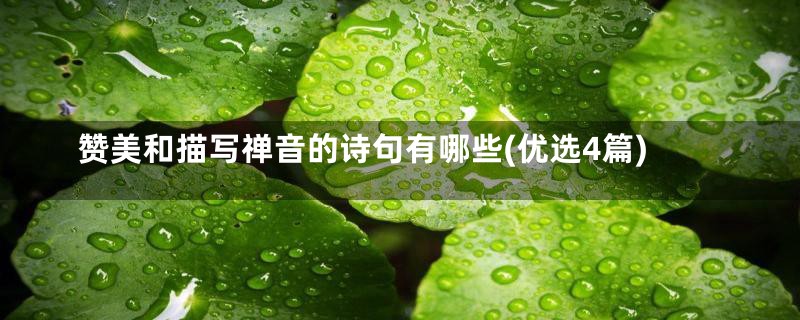 赞美和描写禅音的诗句有哪些(优选4篇)